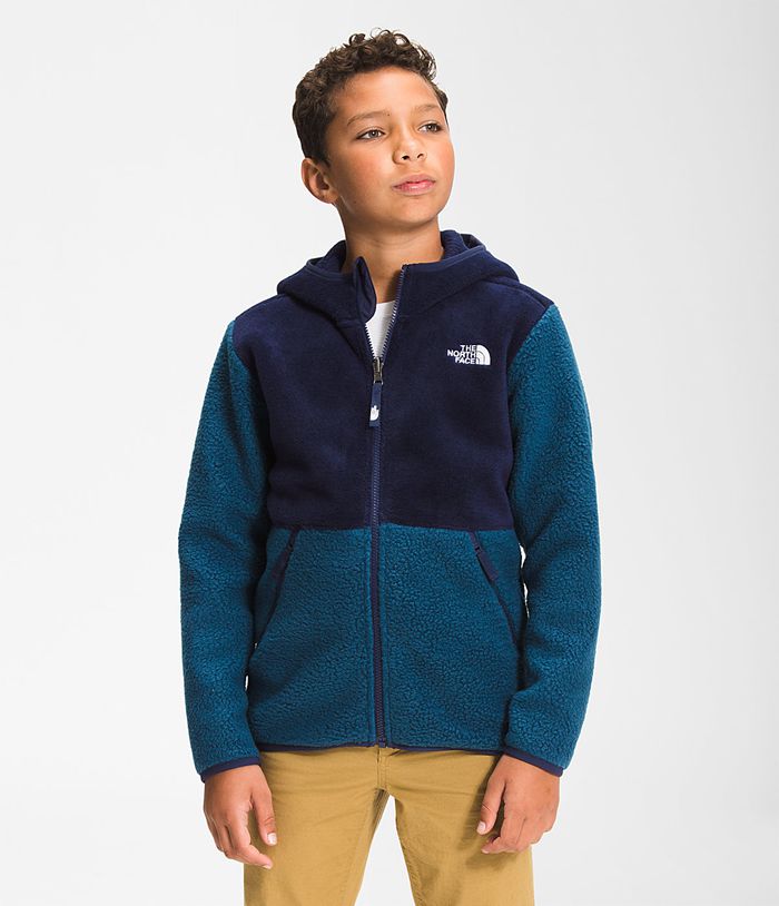 Chaqueta The North Face Niño Azules Forrest Full Cremallera Sin Capucha Fleece 16347EVFH